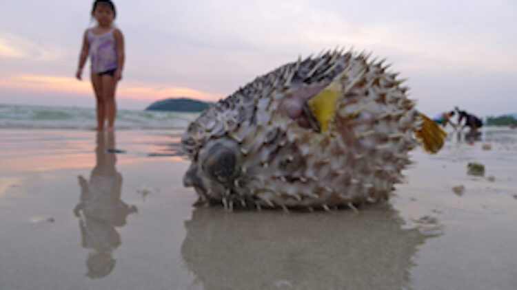 MALAYSIA