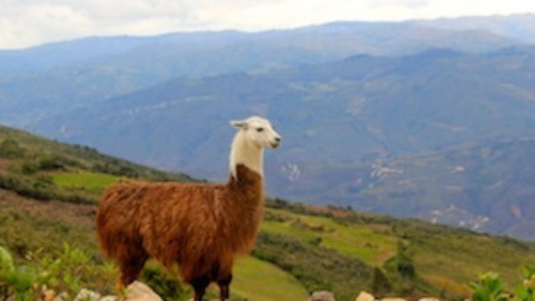 PERU, part 5